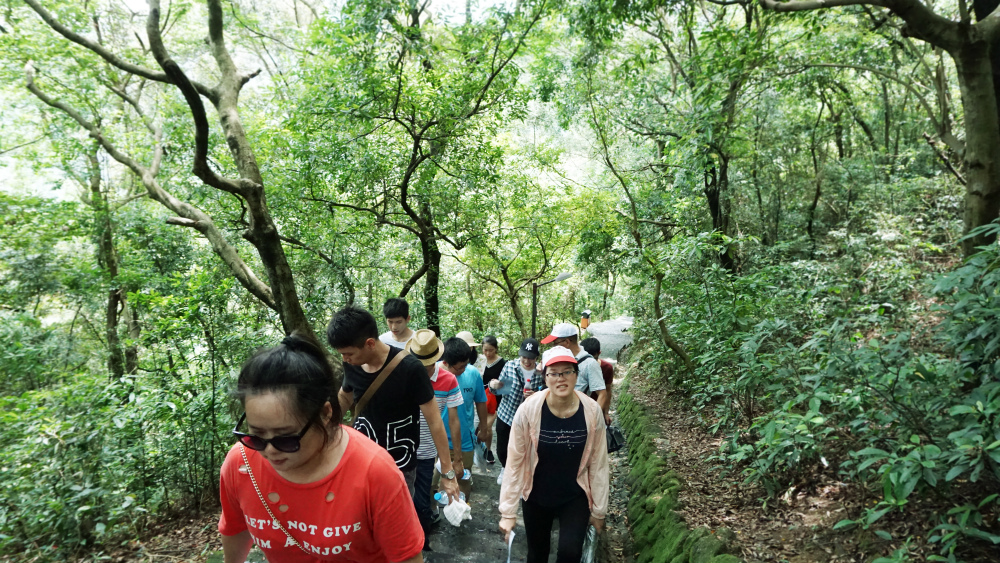 管家婆三期必开